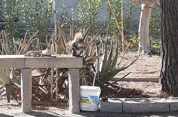 Casa rural en Ptd. El Moco, 3, 96 n