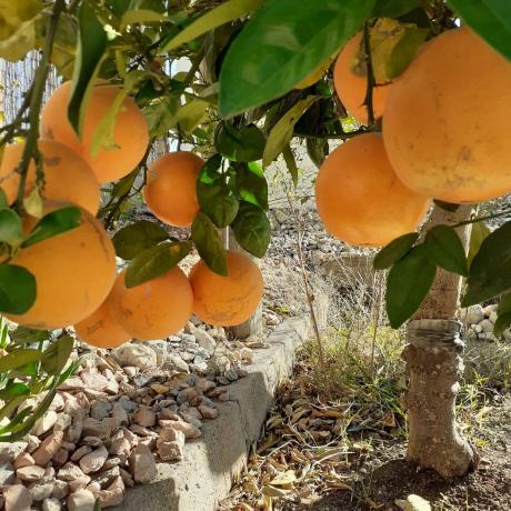 Casa rural en Ptd. El Moco, 3, 96 n