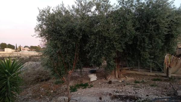 Casa independiente en Partida Moco el Gp. 3, 7