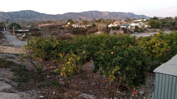 Casa independiente en Partida Moco el Gp. 3, 7