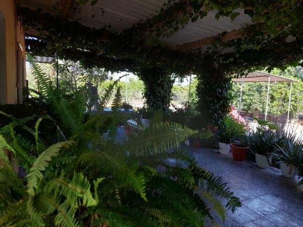 Casa rural en Partida Dehesa la Gp. 13, 87