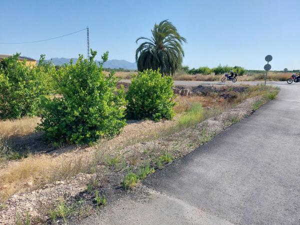 Casa rural en Partida Dehesa la Gp. 13, 87