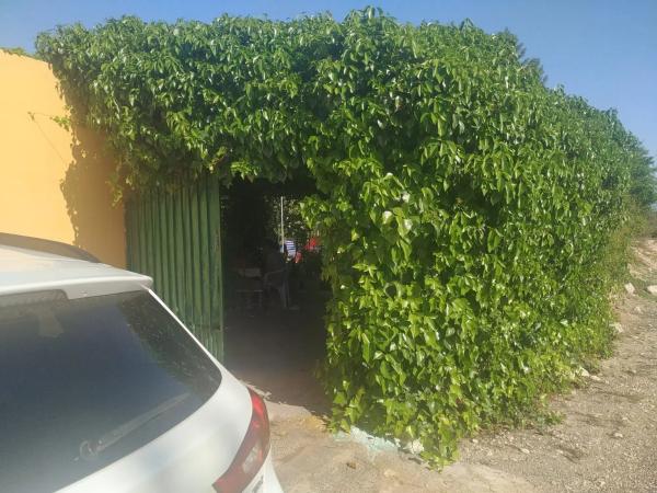 Casa rural en Partida Dehesa la Gp. 13, 87