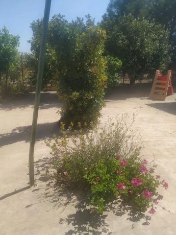 Casa rural en Partida Dehesa la Gp. 13, 87