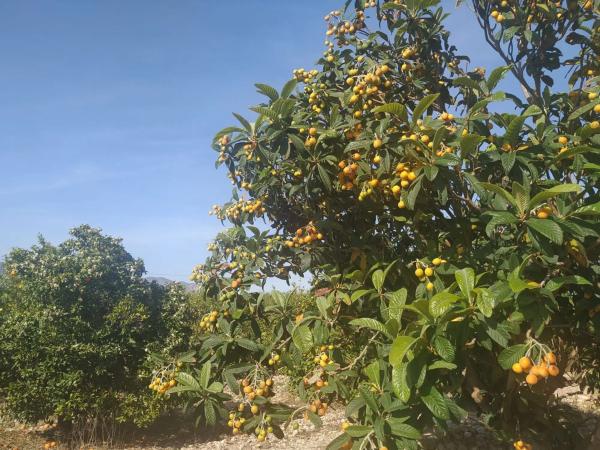 Casa rural en Partida Dehesa la Gp. 13, 87