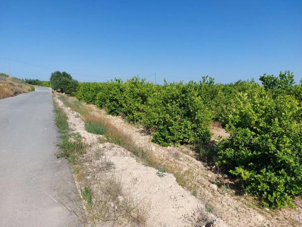 Casa rural en Partida Dehesa la Gp. 13, 87