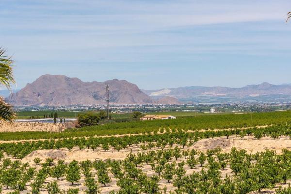 Casa independiente en avenida Antonio Pedrera Soler