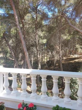 Casa independiente en calle Camilo José Cela