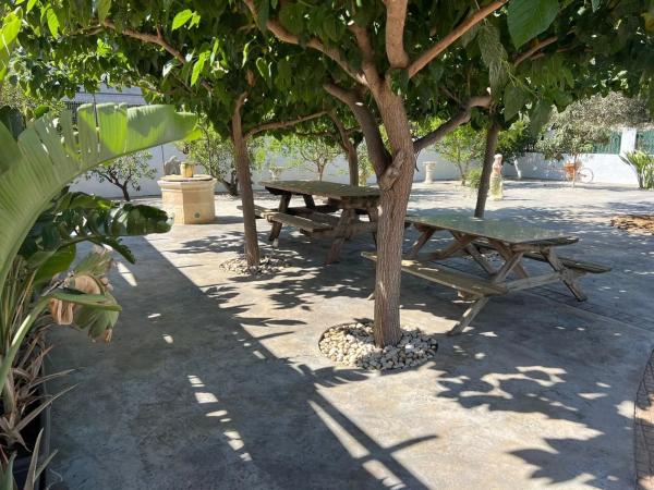 Casa independiente en calle Azarbe el Regaliziar, 13