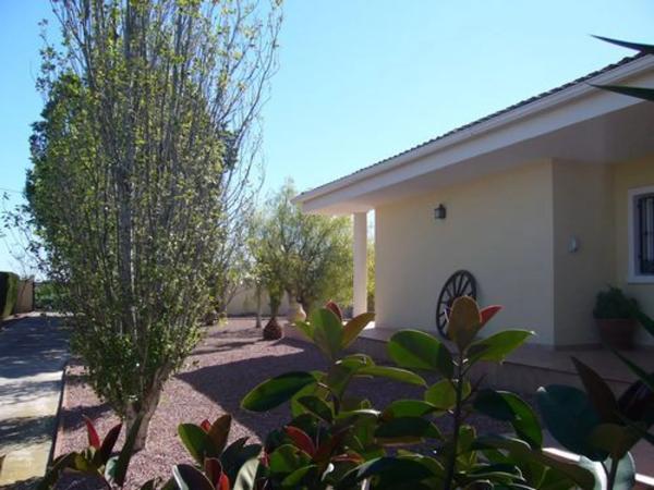 Casa independiente en camino de Catral