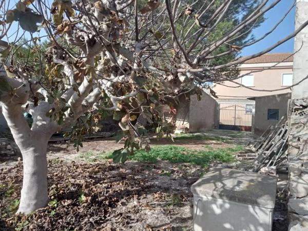 Casa rural en Barrio las Barracas