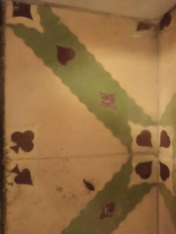 Casa independiente en calle Francisco Ruiz