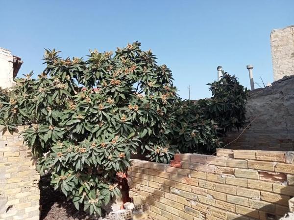 Casa rural en Barrio las Barracas