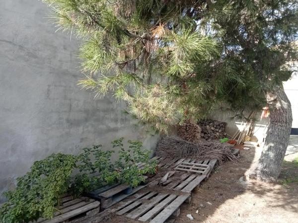 Casa rural en Barrio las Barracas