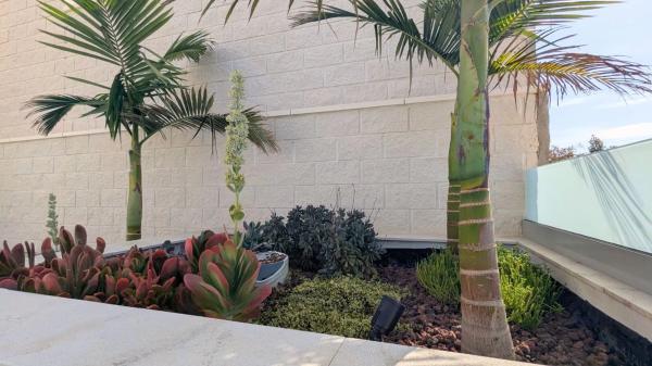 Casa independiente en calle Torrevieja