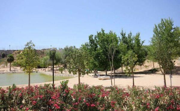 Casa independiente en calle Alfonso XIII