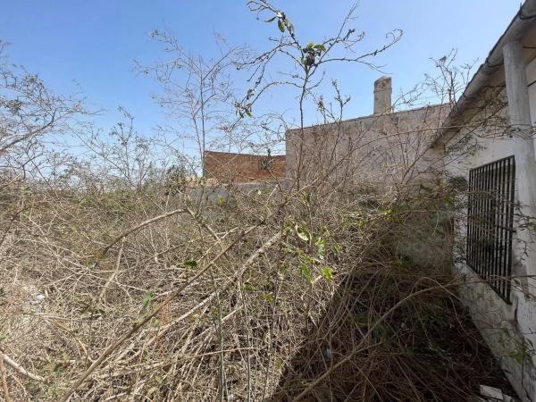 Casa de pueblo en calle Vicente Blasco Ibáñez