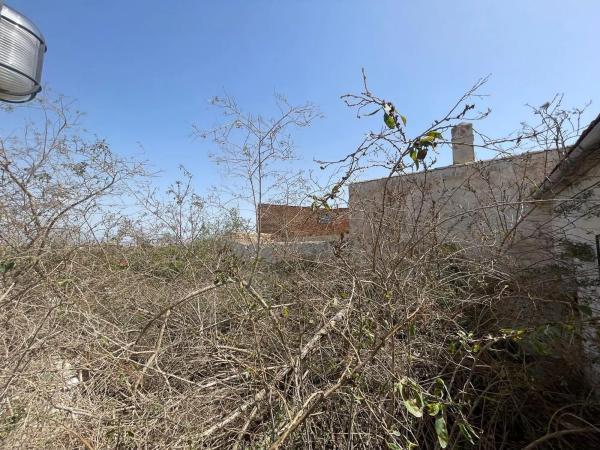 Casa de pueblo en calle Vicente Blasco Ibáñez