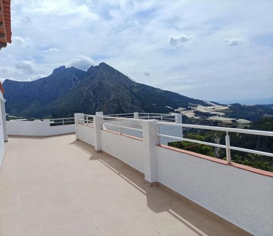 Finca rústica en plaza Canónigo Francisco Navarro Aguado