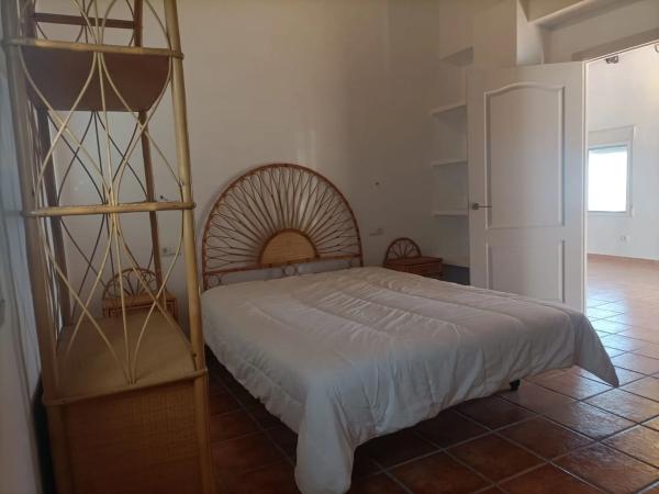 Finca rústica en plaza Canónigo Francisco Navarro Aguado