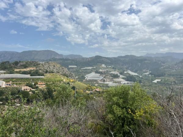 Finca rústica en plaza Canónigo Francisco Navarro Aguado