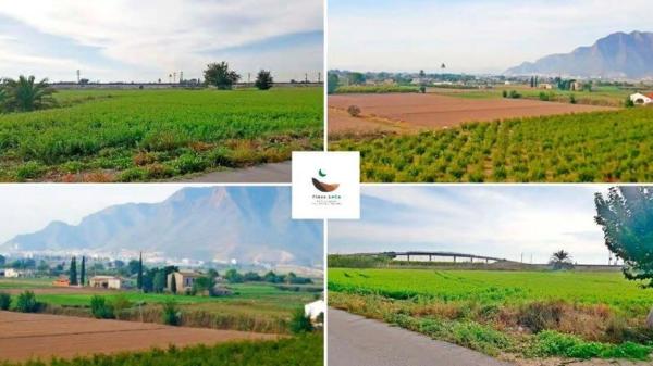 Finca rústica en vereda los Cañizares