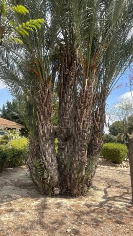 Casa independiente en N-340