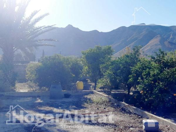 Casa independiente en calle las Alturas