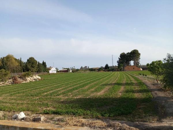 Finca rústica en calle los depositos, 1