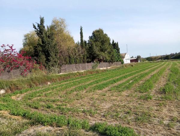 Finca rústica en calle los depositos, 1