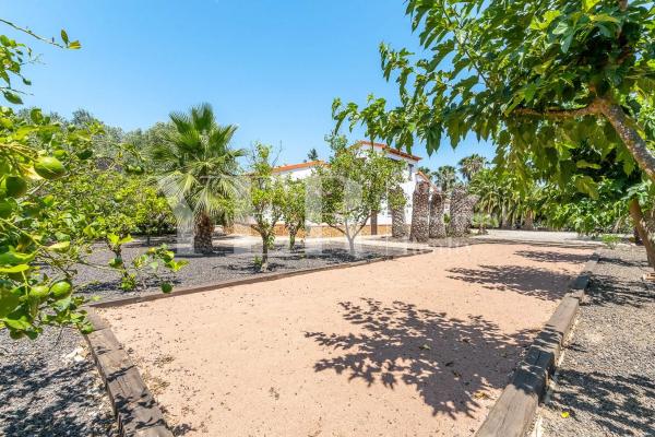 Finca rústica en Partida Marco