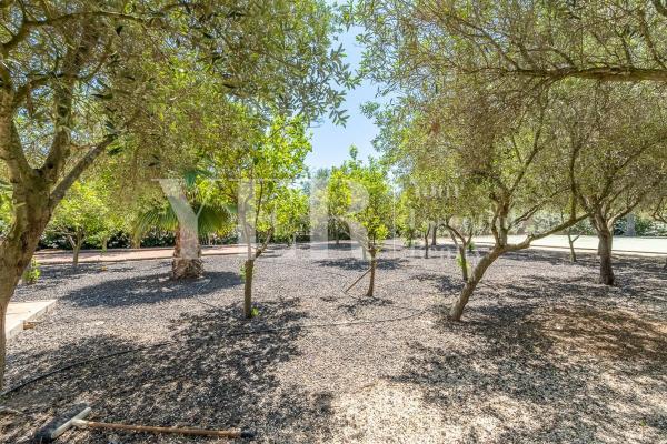 Finca rústica en Partida Marco