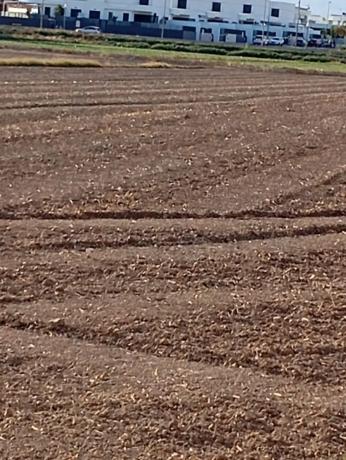 Finca rústica en vereda de los Josés