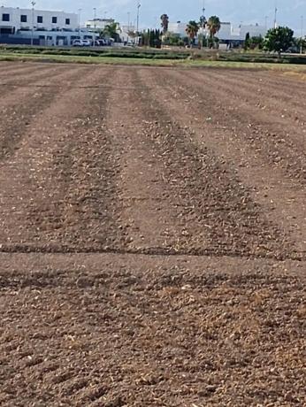 Finca rústica en vereda de los Josés