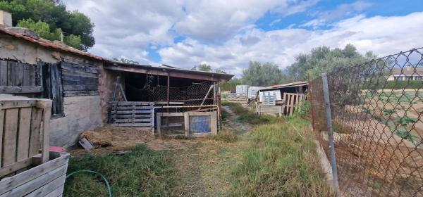 Casa independiente en Huerta / Campo Dolores