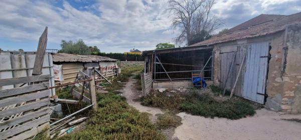 Casa independiente en Huerta / Campo Dolores