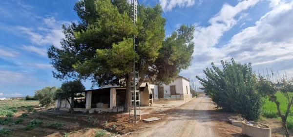 Casa independiente en Huerta / Campo Dolores