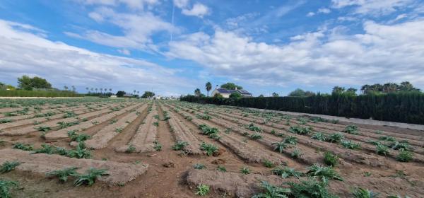 Casa independiente en Huerta / Campo Dolores