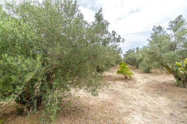 Casa rural en vereda la Colegiala