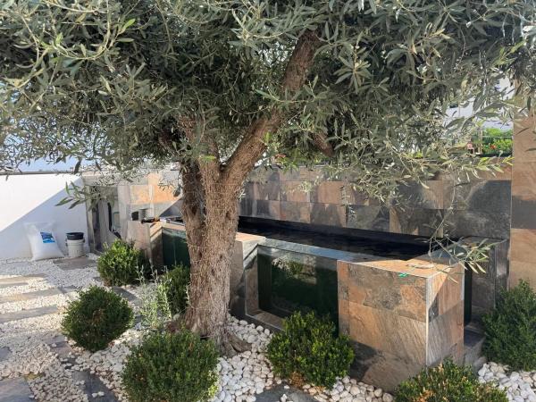 Casa independiente en CL Santa Pola