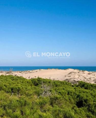 Casa independiente en avenida Vega Baja