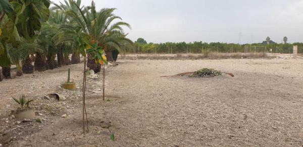 Finca rústica en Huerta Diseminados, 10