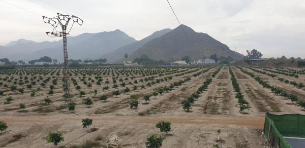 Finca rústica en Huerta Diseminados, 10