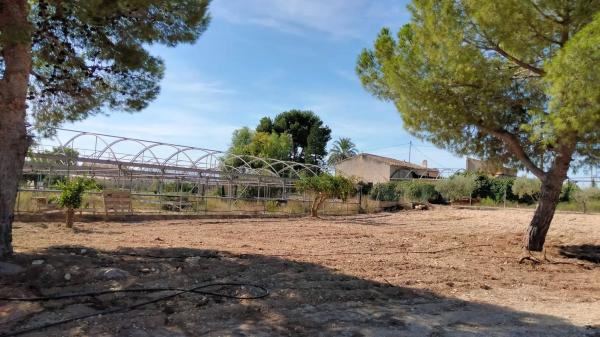 Finca rústica en Lugar Murada, 182