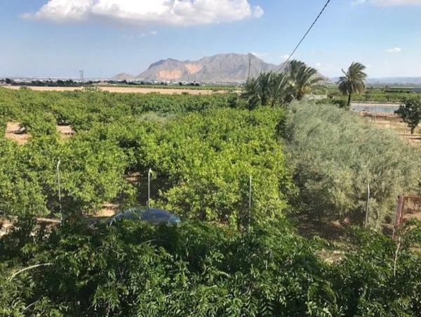 Finca rústica en Lugar Murada, 365 b