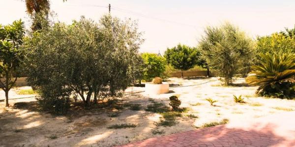 Casa independiente en calle Orihuela