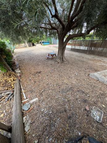 Casa rural en Pedania de Molins s/n BarriolosSuizos