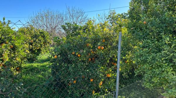 Casa independiente en corrientias baja, 68
