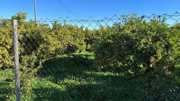 Casa independiente en corrientias baja, 68