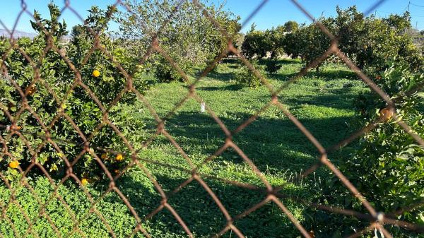 Casa independiente en corrientias baja, 68